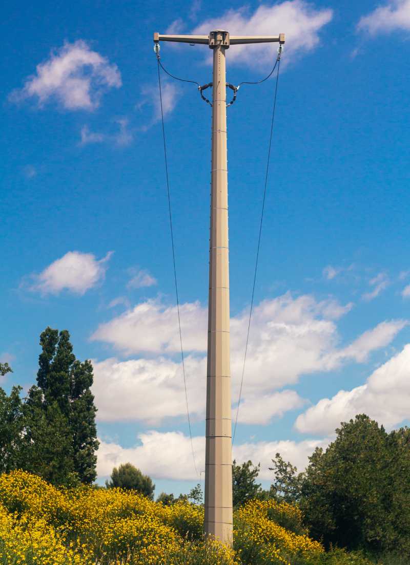 odszkodowania-za-slup-sredniego-napiecia Słup energetyczny średniego napięcia na działce porośniętej roślinnością<br />